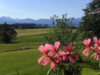 Pension Ferienhof Haggenm�ller
